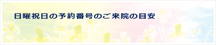 日曜祝日の予約番号のご来院目安